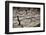 Turkey, Aphrodisias, Sebasteion, Wall Reliefs, Theatrical Masks-Samuel Magal-Framed Photographic Print