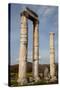 Turkey, Aphrodisias, Temple of Aphrodite, Columns-Samuel Magal-Stretched Canvas