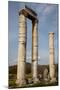 Turkey, Aphrodisias, Temple of Aphrodite, Columns-Samuel Magal-Mounted Photographic Print