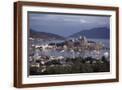 Brown Frame