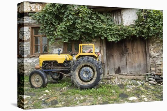 Turkey, Bursa. Cumalikizik Village Is a Ottoman Empire World Heritage Site-Emily Wilson-Stretched Canvas