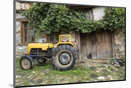 Turkey, Bursa. Cumalikizik Village Is a Ottoman Empire World Heritage Site-Emily Wilson-Mounted Photographic Print