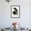 Turkey Buzzard-null-Framed Giclee Print displayed on a wall