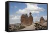 Turkey, Cappadocia, Devrent Valley, Rock Formation, Camel Resemblance-Samuel Magal-Framed Stretched Canvas