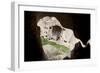 Turkey, Cappadocia, Goreme Valley, Zelve, Open Air Museum, Rock Dwelling-Samuel Magal-Framed Photographic Print