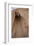 Turkey, Cappadocia, Goreme Valley, Zelve, Open Air Museum, Rock Dwelling-Samuel Magal-Framed Photographic Print