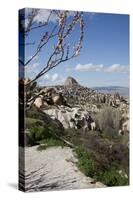 Turkey, Cappadocia, Ortahisar, View-Samuel Magal-Stretched Canvas