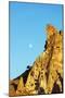 Turkey, Central Anatolia, Cappadocia-Christian Kober-Mounted Photographic Print