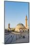 Turkey, Central Anatolia, Sivas, Twin Minarets of Cifte Minare Medressah and Kale Camii-Christian Kober-Mounted Photographic Print