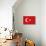 Turkey Country Flag - Letterpress-Lantern Press-Art Print displayed on a wall