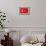 Turkey Country Flag - Letterpress-Lantern Press-Framed Art Print displayed on a wall