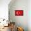 Turkey Country Flag - Letterpress-Lantern Press-Framed Stretched Canvas displayed on a wall