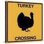 Turkey Crossing-Tina Lavoie-Stretched Canvas