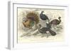 Turkey & Curassows-J. Stewart-Framed Art Print