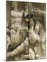 Turkey, Detail of the Frieze from Pergamon Altar Representing a Dying Giant with a Dying Lion-null-Mounted Giclee Print