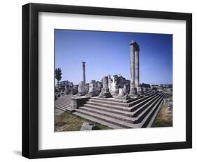 Turkey, Didim, Temple of Apollo-null-Framed Premium Giclee Print