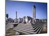 Turkey, Didim, Temple of Apollo-null-Mounted Premium Giclee Print