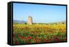 Turkey, Eastern Anatolia, Hasankeyf-Christian Kober-Framed Stretched Canvas