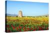 Turkey, Eastern Anatolia, Hasankeyf-Christian Kober-Stretched Canvas