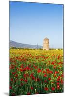 Turkey, Eastern Anatolia, Hasankeyf-Christian Kober-Mounted Photographic Print