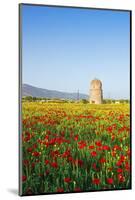 Turkey, Eastern Anatolia, Hasankeyf-Christian Kober-Mounted Photographic Print