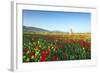 Turkey, Eastern Anatolia, Hasankeyf-Christian Kober-Framed Photographic Print