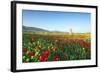 Turkey, Eastern Anatolia, Hasankeyf-Christian Kober-Framed Photographic Print