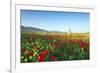 Turkey, Eastern Anatolia, Hasankeyf-Christian Kober-Framed Photographic Print