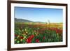 Turkey, Eastern Anatolia, Hasankeyf-Christian Kober-Framed Photographic Print