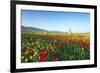 Turkey, Eastern Anatolia, Hasankeyf-Christian Kober-Framed Photographic Print