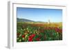 Turkey, Eastern Anatolia, Hasankeyf-Christian Kober-Framed Photographic Print