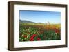 Turkey, Eastern Anatolia, Hasankeyf-Christian Kober-Framed Photographic Print