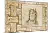 Turkey, Eastern Anatolia, Hatay, Mosaic Museum, Oceanus Thetis-Christian Kober-Mounted Photographic Print