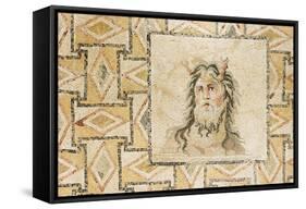 Turkey, Eastern Anatolia, Hatay, Mosaic Museum, Oceanus Thetis-Christian Kober-Framed Stretched Canvas