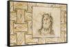 Turkey, Eastern Anatolia, Hatay, Mosaic Museum, Oceanus Thetis-Christian Kober-Framed Stretched Canvas