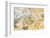 Turkey, Eastern Anatolia, Hatay, Mosaic Museum; Yakto Mosaic-Christian Kober-Framed Photographic Print