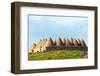 Turkey, Eastern Anatolia, Village of Harran, Beehive Mud Brick Houses-Christian Kober-Framed Photographic Print