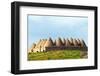 Turkey, Eastern Anatolia, Village of Harran, Beehive Mud Brick Houses-Christian Kober-Framed Photographic Print