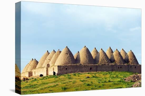 Turkey, Eastern Anatolia, Village of Harran, Beehive Mud Brick Houses-Christian Kober-Stretched Canvas