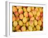 Turkey, Eastern Turkey, Malatya, Bazaar, Apricots-Jane Sweeney-Framed Photographic Print