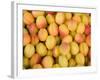 Turkey, Eastern Turkey, Malatya, Bazaar, Apricots-Jane Sweeney-Framed Photographic Print