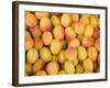 Turkey, Eastern Turkey, Malatya, Bazaar, Apricots-Jane Sweeney-Framed Photographic Print