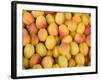 Turkey, Eastern Turkey, Malatya, Bazaar, Apricots-Jane Sweeney-Framed Photographic Print