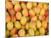 Turkey, Eastern Turkey, Malatya, Bazaar, Apricots-Jane Sweeney-Mounted Photographic Print