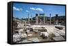 Turkey, Ephesus, Basilica-Samuel Magal-Framed Stretched Canvas