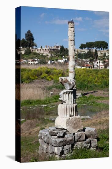 Turkey, Ephesus, Temple of Artemis, Artemision-Samuel Magal-Stretched Canvas