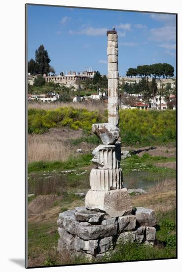 Turkey, Ephesus, Temple of Artemis, Artemision-Samuel Magal-Mounted Photographic Print