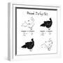 TURKEY FEMALE CUTS SCHEME  - B&W-ONiONAstudio-Framed Premium Giclee Print