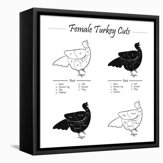 TURKEY FEMALE CUTS SCHEME  - B&W-ONiONAstudio-Framed Stretched Canvas