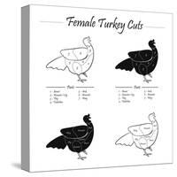 TURKEY FEMALE CUTS SCHEME  - B&W-ONiONAstudio-Stretched Canvas